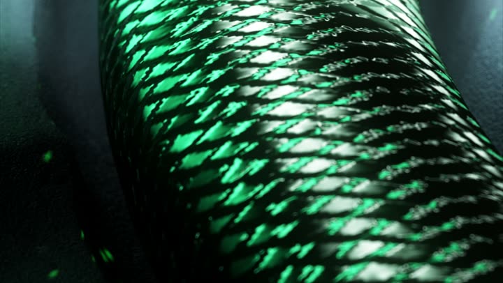 A macro of green snake scales catching the light.