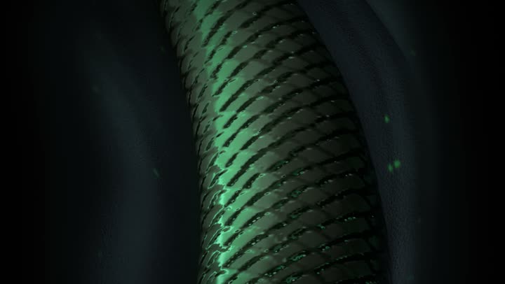 The snake's body curving through dark green water.